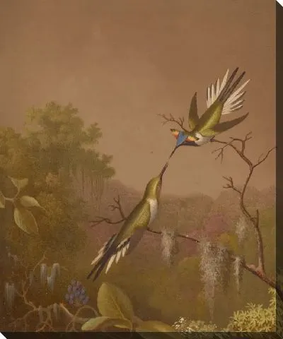 Картина Бразильские Колибри II