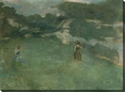 Дрозд-Отшельник