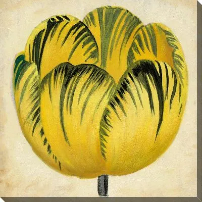 Картина маслом Тюльпан №3