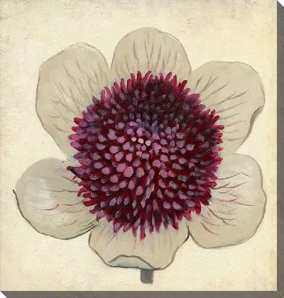 Картина маслом Цветок №21