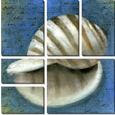 Модульная картина Раковина