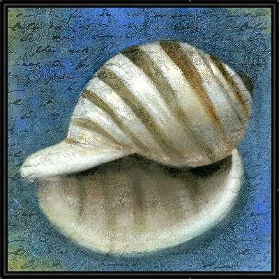 Картина Раковина