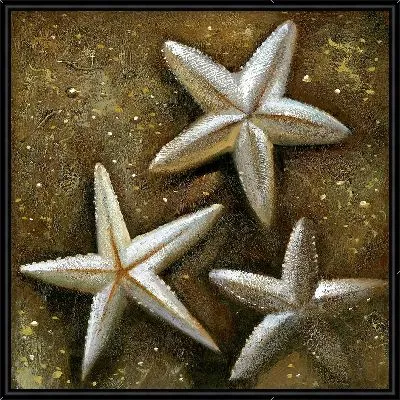 Картина Звезды морские