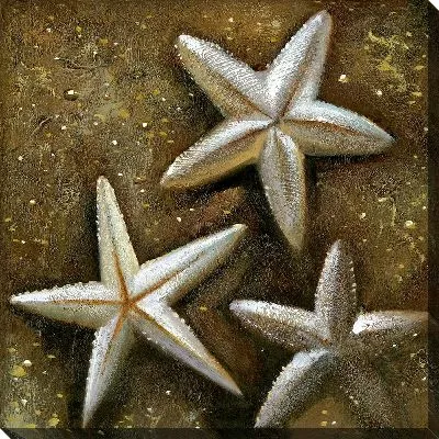 Картина маслом Звезды морские