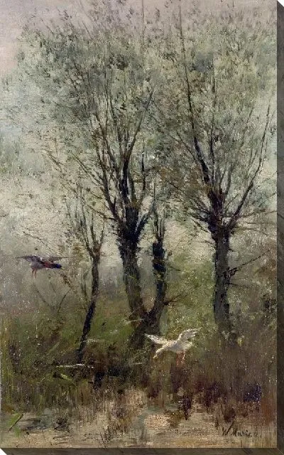 Картина Утки над прудом  (Ducks alighting on a Pool)