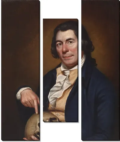 Портрет доктора Меера