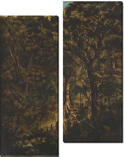 Картина Бразильский Лес