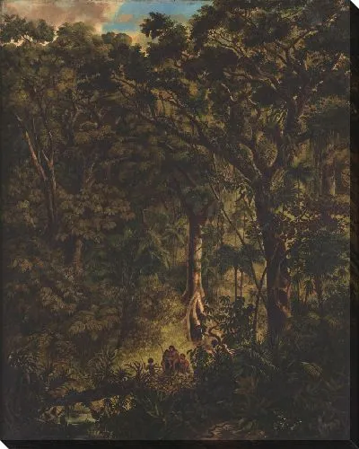 Картина Бразильский Лес