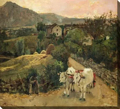 Волы в Пьетрамале