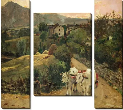 Волы в Пьетрамале