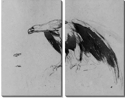 Картина Орел (из этюдника)