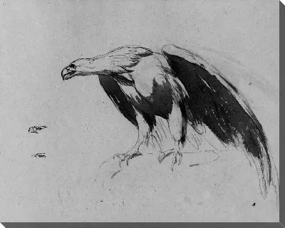 Картина Орел (из этюдника)