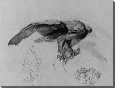 Картина (Из Альбома Для Рисования)