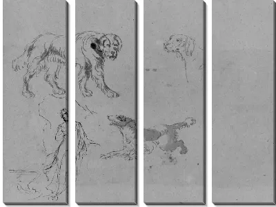 Картина (Из Альбома Для Рисования)