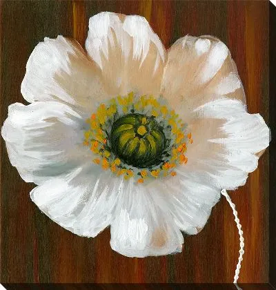 Картина маслом Белый цветок №5