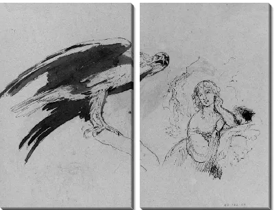 Картина Орел и Леди (из альбома для рисования)