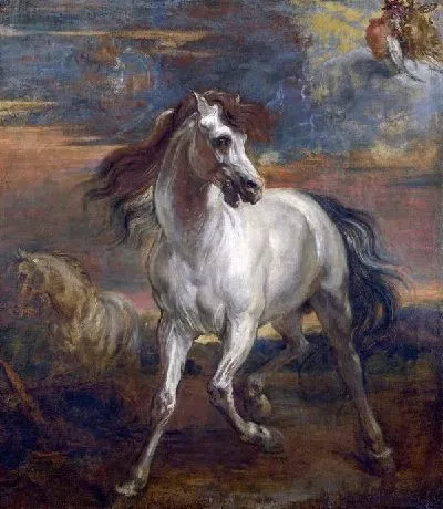 Плакат Лошадь (Horses)