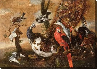 Птичий Концерт