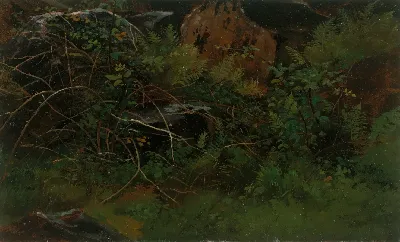 шаблон id 38
