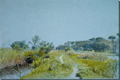 картина