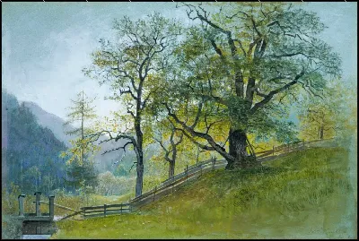 картина