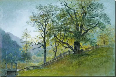 картина