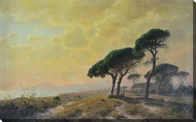 Картина Стони Пайнс, Канны