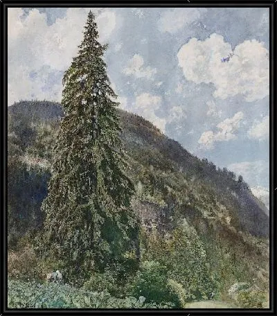 Старая ель в Бад-Гаштайне