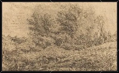 Стенд деревьев на реке