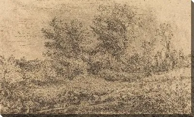 Стенд деревьев на реке