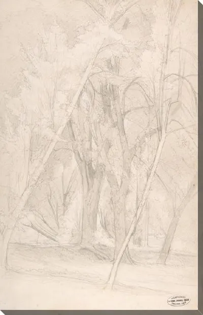 Картина Лесной Интерьер