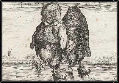 Кататься на коньках совы