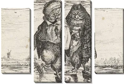 Кататься на коньках совы