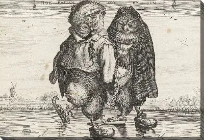 Кататься на коньках совы