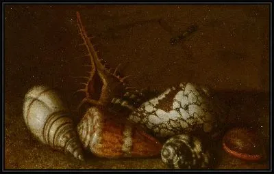 Раковины на столе