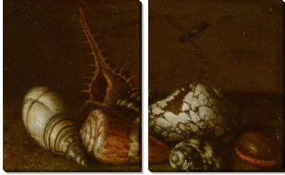 Раковины на столе