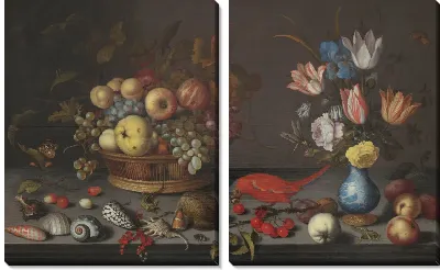 Фрукты, цветы и ракушки