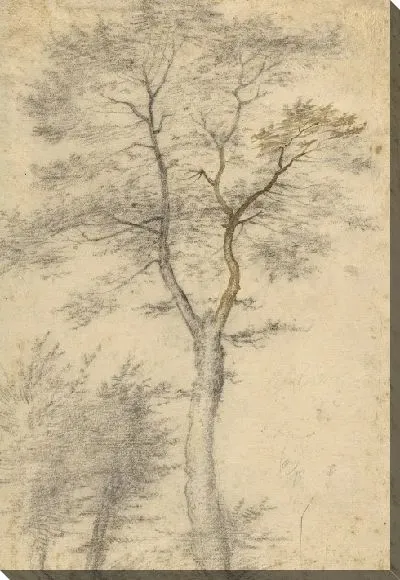 Картина Три исследования деревьев