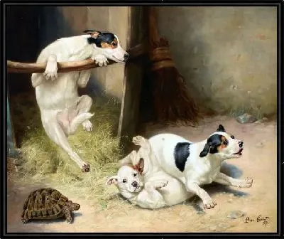 Щенки (Puppies)