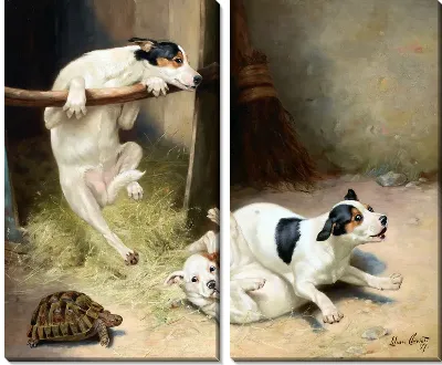 Щенки (Puppies)