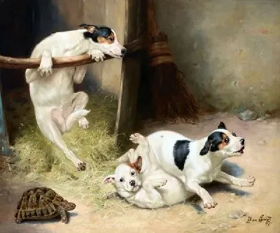 Щенки (Puppies)