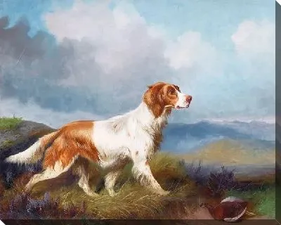 Картина маслом Собака (Dog) №2