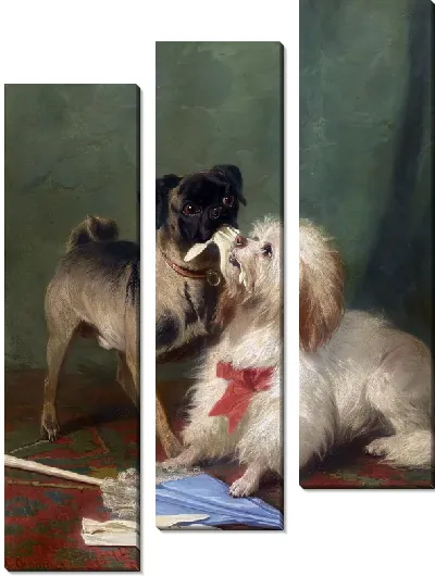 Картина Мопс и мальтиец играют (A Pug And A Maltese Playing Tug-Of-War)