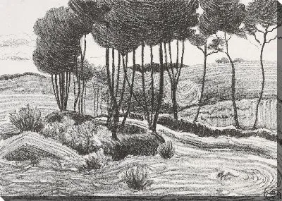 Картина Тополя