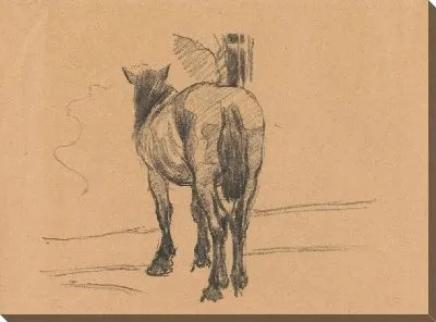Картина Эскиз Лошади