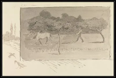 Борона в саду