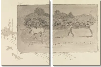 Борона в саду