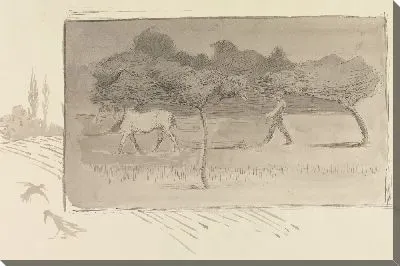 Борона в саду