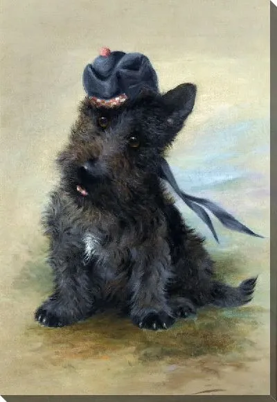 Картина Черный скотти (A black Scottie)