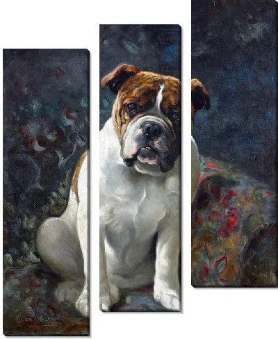 Картина Бульдог (A Bulldog)